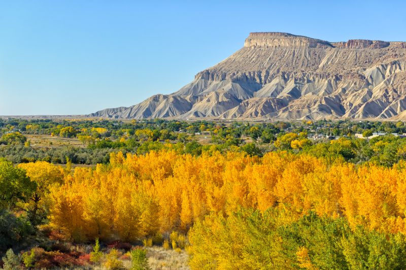 A scenic landscape featuring a large, flat-topped mountain with striated patterns in the background. In the foreground, a dense forest of trees with vibrant yellow and green foliage is visible under a clear blue sky.